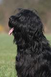 BRIARD 249